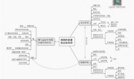 三只羊小乔爆料视频大全,视频大全揭秘幕后故事